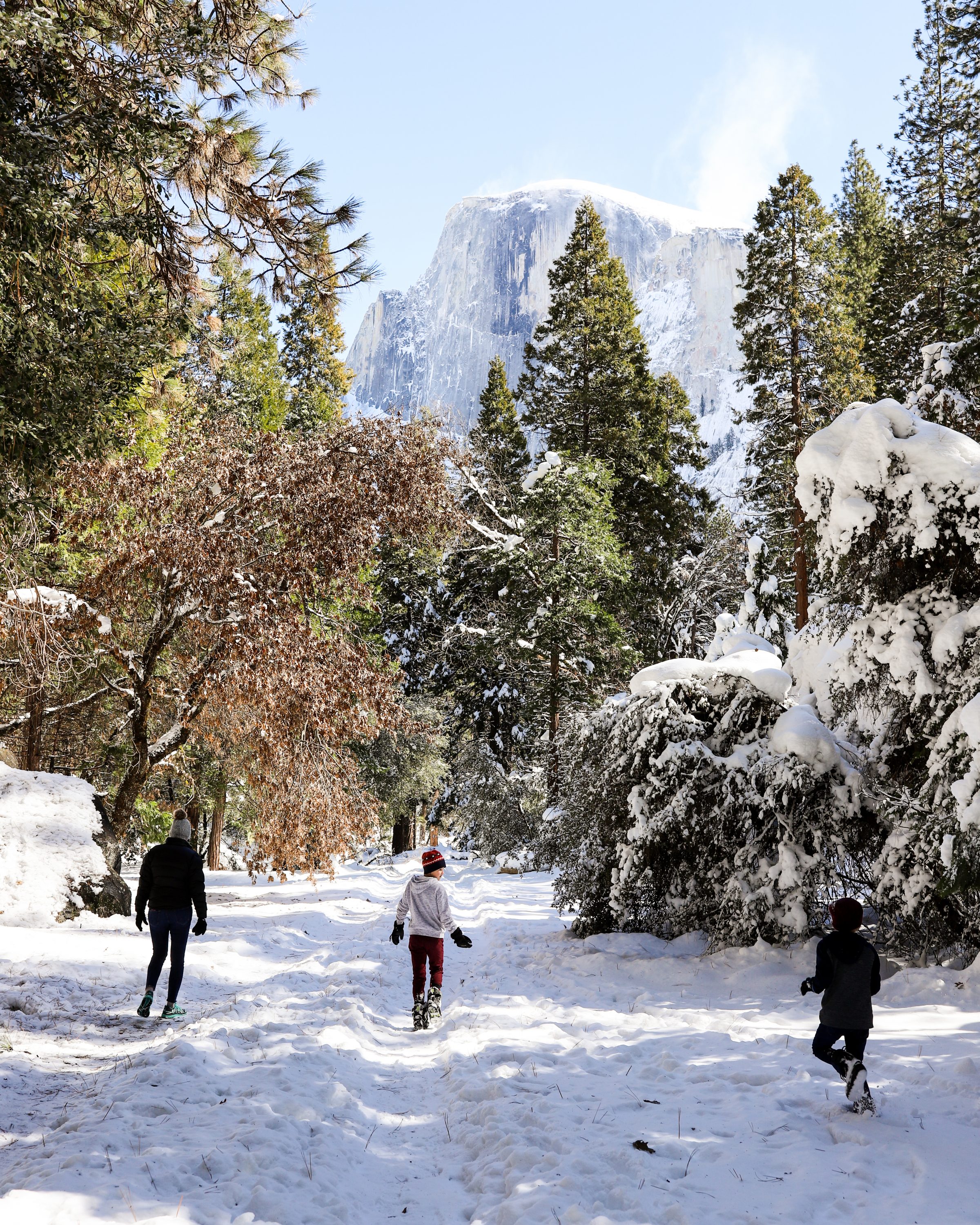 plan a winter trip to Yosemite